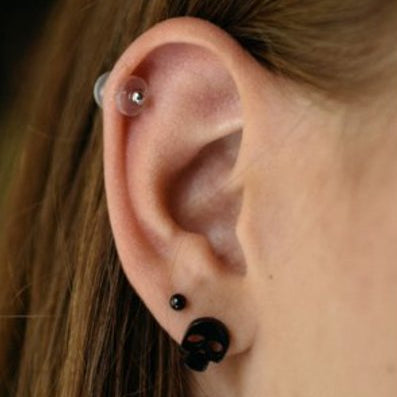 3er Set Wildfleisch-Discs