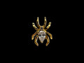SPIDER LABRET