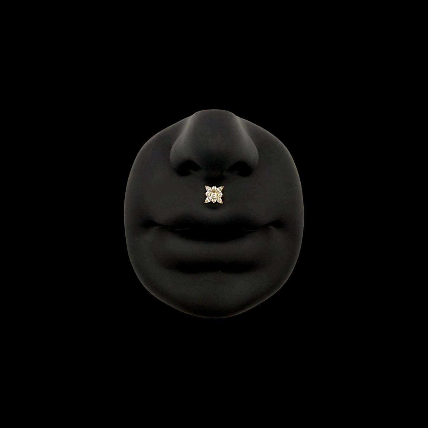 Polaris Labret aus Titan