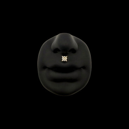 Polaris Labret aus Titan