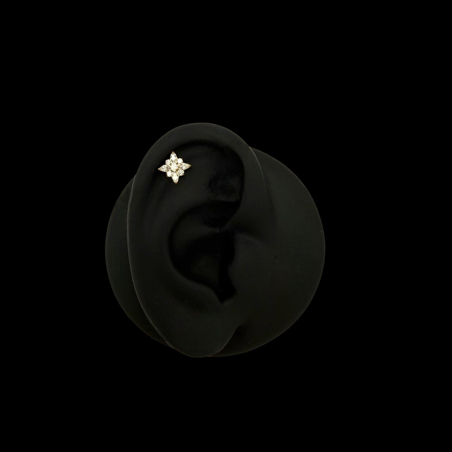 Polaris Labret aus Titan