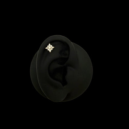 Polaris Labret aus Titan