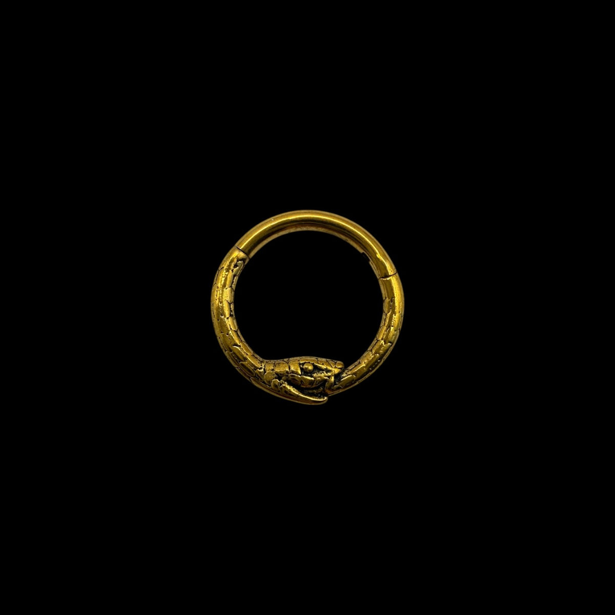 OUROBOROS RING