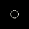OUROBOROS RING