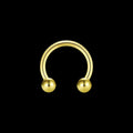 Titanium Horseshoe
