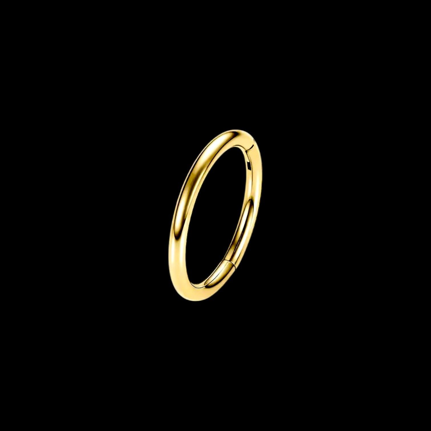 SEGMENT RING